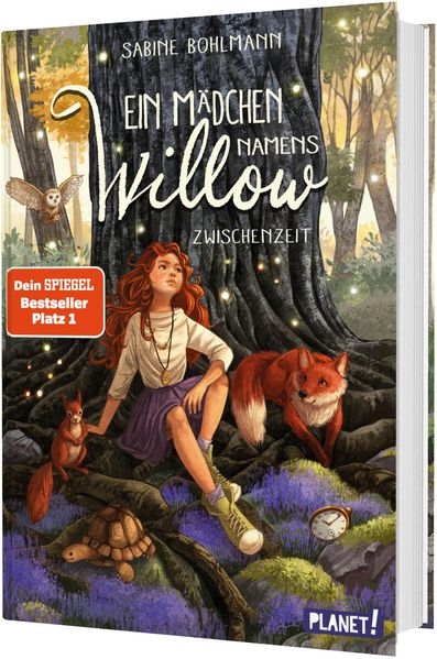 Ein Mädchen namens Willow 6: Zwischenzeit