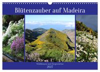 Blütenzauber auf Madeira. Wildblumen und Ziergewächse (Wandkalender 2027 DIN A3 quer), CALVENDO Monatskalender