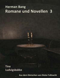 Herman Bang Romane und Novellen Band 3