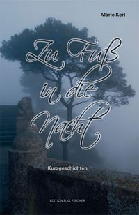 Zu Fuß in die Nacht