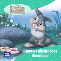 Maxi-Mini 239: VE 5: Disney Klopfer: Klopfers nächtliches Abenteuer