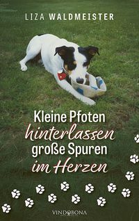 Kleine Pfoten hinterlassen große Spuren im Herzen