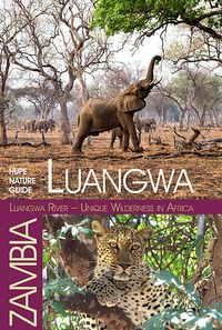 Luangwa River – Unique Wilderness in Africa