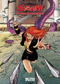 Storm – Die Chroniken von Rothaar. Band 1