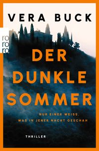 Der dunkle Sommer