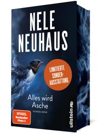 Alles wird Asche (Ein Bodenstein-Kirchhoff-Krimi 12)