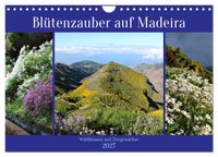 Blütenzauber auf Madeira. Wildblumen und Ziergewächse (Wandkalender 2027 DIN A4 quer), CALVENDO Monatskalender