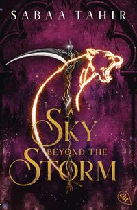 A Sky Beyond the Storm