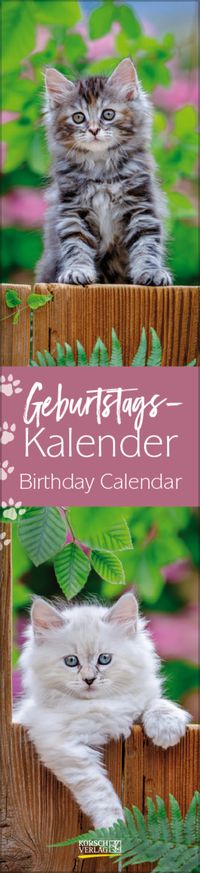 Geburtstags-Langplaner Cats