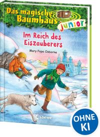 Das magische Baumhaus junior (Band 29) - Im Reich des Eiszauberers