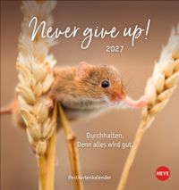 Never give up! Postkartenkalender 2027 - Durchhalten. Denn alles wird gut.