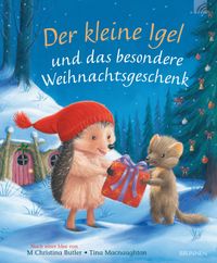 Der kleine Igel und das besondere Weihnachtsgeschenk