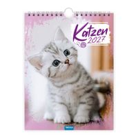 TRÖTSCH - Notizkalender zum Hängen Katzen 2027